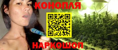 спайс Баксан