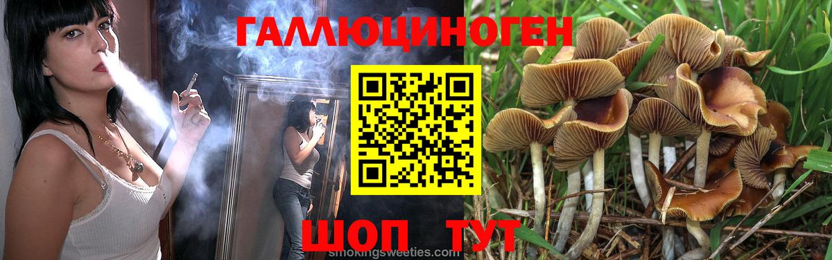 Псилоцибиновые грибы мухоморы Ачинск